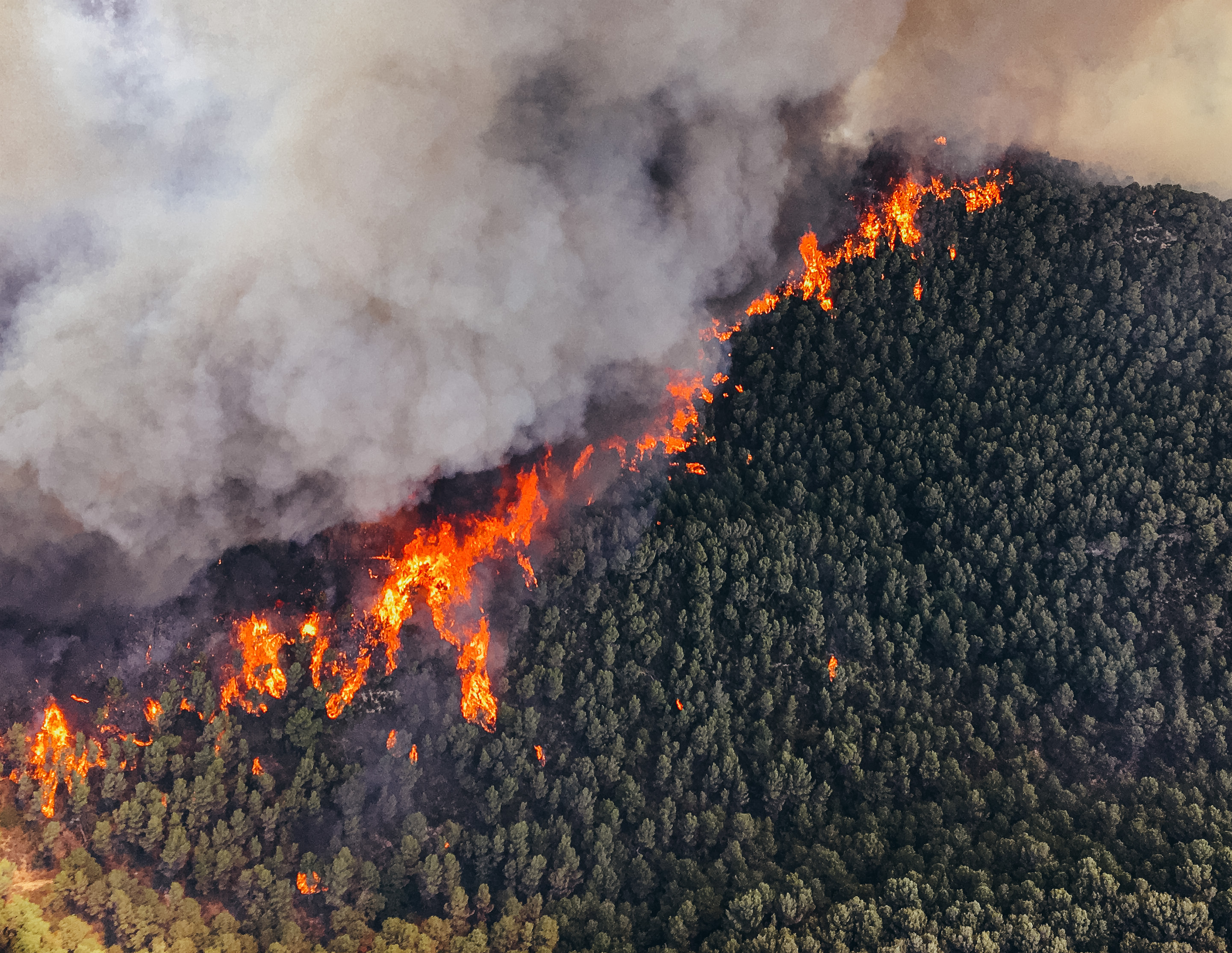 สาเหตุของ PM 2.5